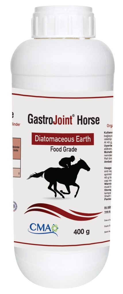 GastroJoint