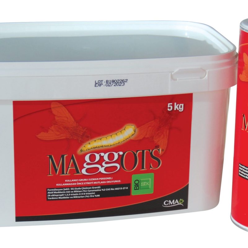 Maggots SG