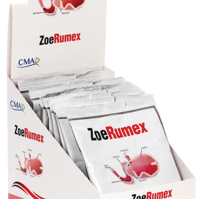 ZoeRumex