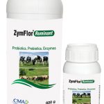 ZymFlor® Ruminant