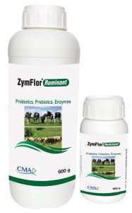 ZymFlor® Ruminant 1
