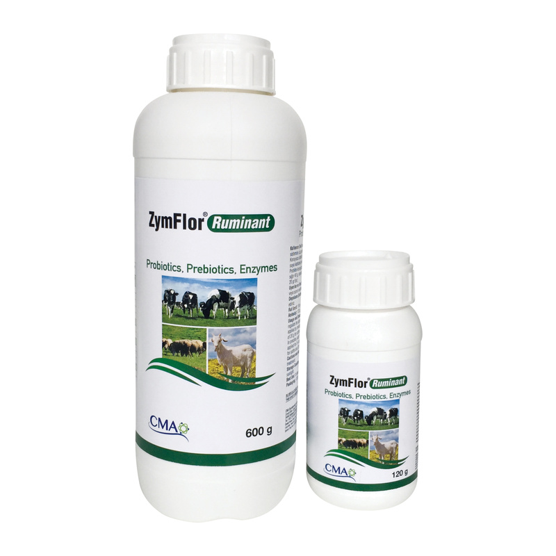 ZymFlor® Ruminant